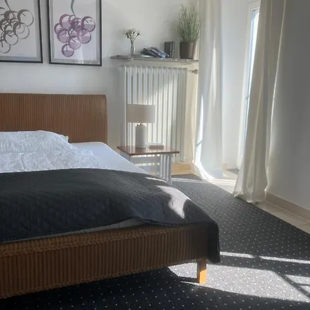 Mosel-studio-apartment Apartment *